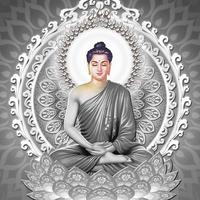 nhạc nền - Phật Pháp Nhiệm Màu