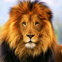 يعني تفضل استاذ علاوي ويايي