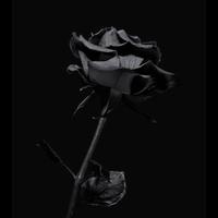 original sound - ᴏ ᴍ x