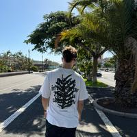 sonido original - xangelmn