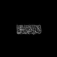 Surah Al Munafiqun Verse 2 to 5