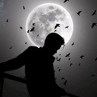 original sound - SOCIAL_STORIES10