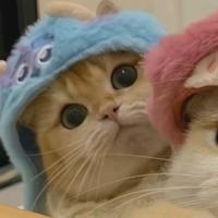 suono originale - lacly