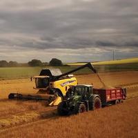 original sound - Morgan