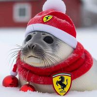 NOOOOO x Dutch anthem