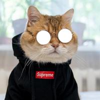 Dj_ya_Thoybah