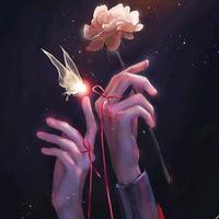 nhạc nền - 💫Bổn Cung 💨