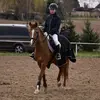 alyssa_equxstrian_xx
