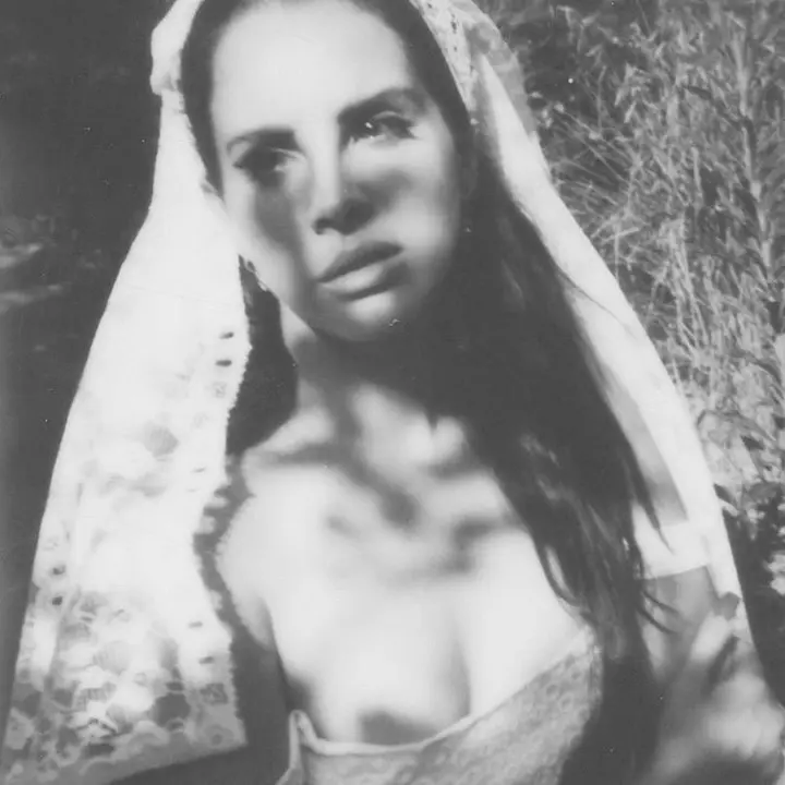 ༺★༻ - salvatore