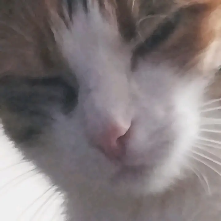 𝄞 L. E. E. N_sing_10 - suara asli - .l..e..e..n_sing_