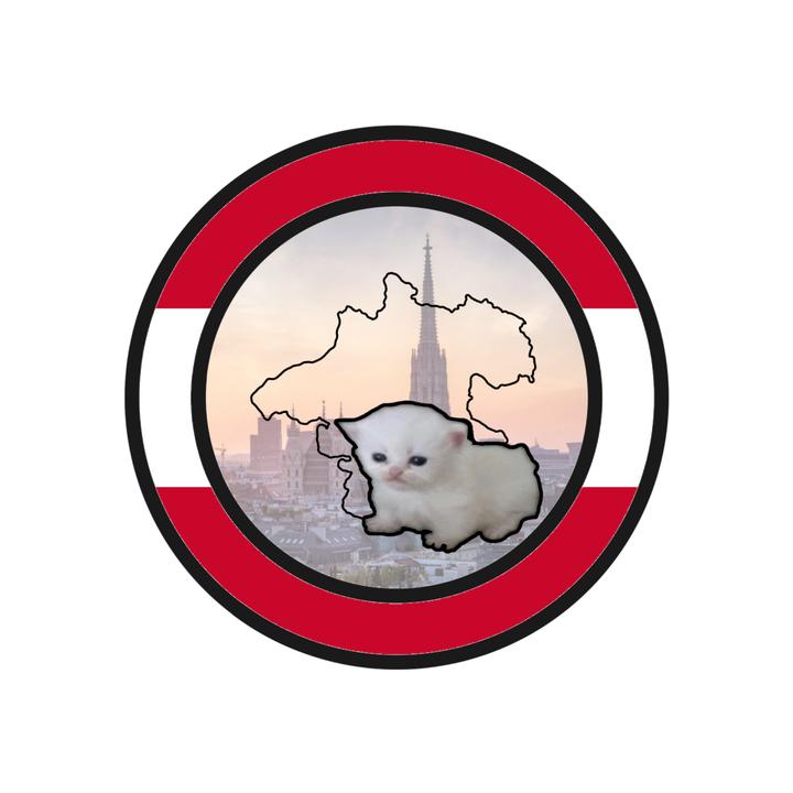 🇦🇹Austrian Mapper🇦🇹🧃 - original sound - upperaustrianmapper