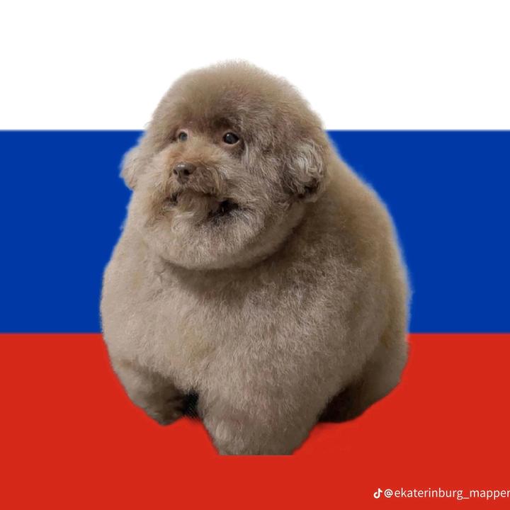 Ипучий. Мем Кагосаки