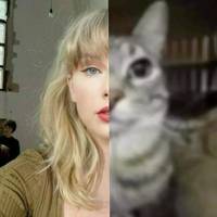 niamhbedumb_