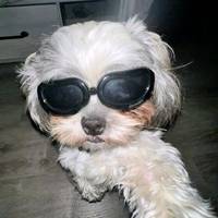 TikTok Account Photo