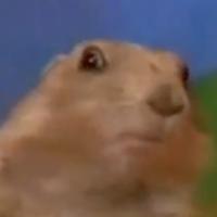 daily_dramatic_chipmunk - original sound