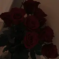 rose_mikkelsen