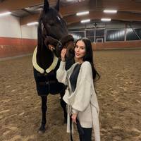 henryshorseworld