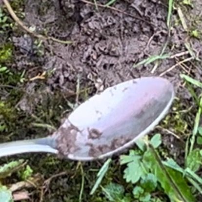 hole.with.spoon