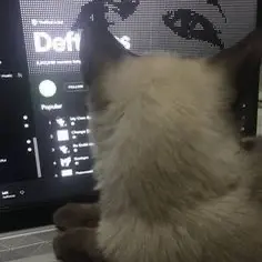 🎧💗 - suara asli