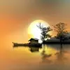 user29118721