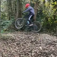 teddavies6