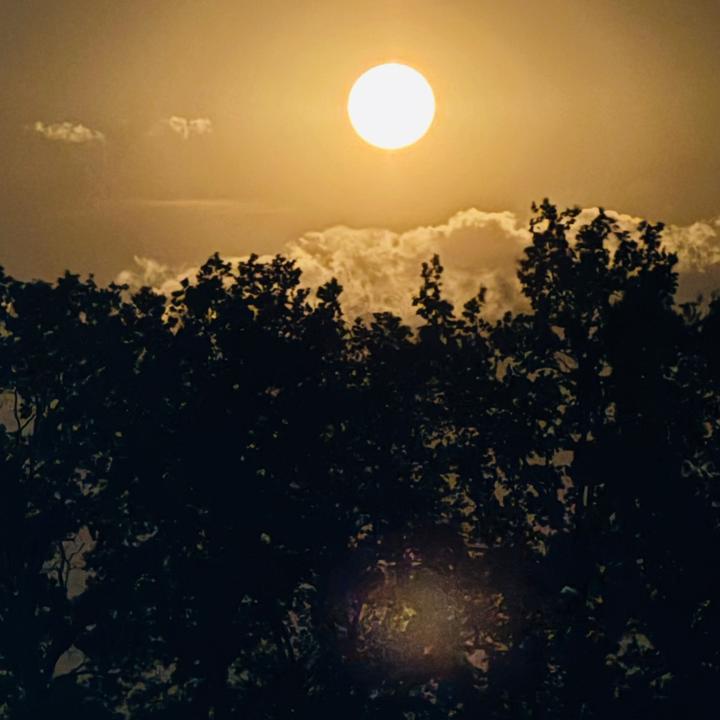 @sabertaheri19986