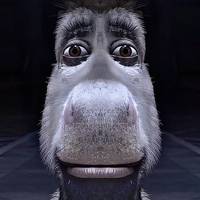 TikTok Account Photo