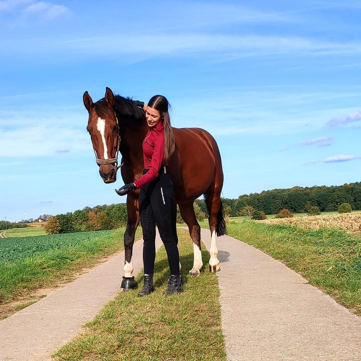 @theas_horselive