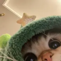xoxokittyha