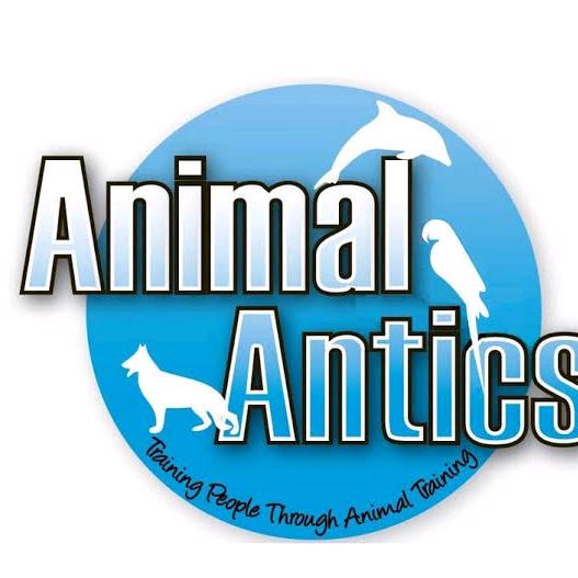 animal.antics.videos
