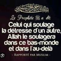 derkuss93370