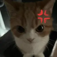 reasonance_ikzx