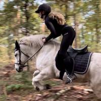 pony.power83