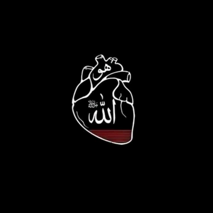 Blessed path 🕊 - original sound - blessedpath_