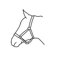 equistriandreams