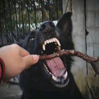 TikTok Account Photo