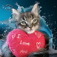 oykumichi