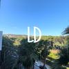 lucasayshi
