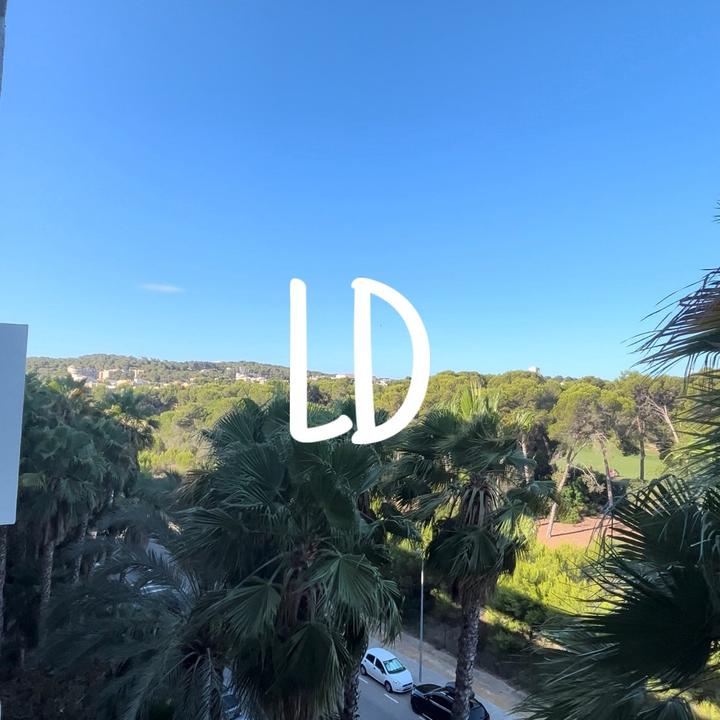 @lucasayshi