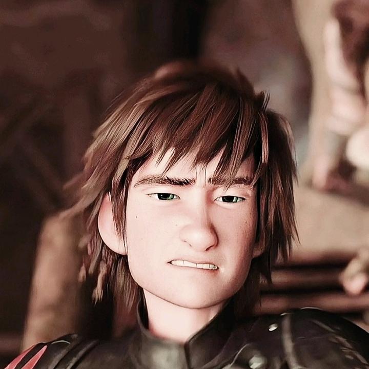 🦄 @hiccstrid._.httyd - 𝐃𝐀𝐍 - TikTok