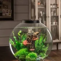 zooaquarium3