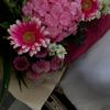 sadeel.el
