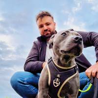 TikTok Profile - reksai.the.blue.staffy