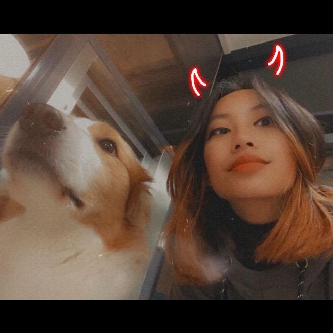 yuma.yamahaki