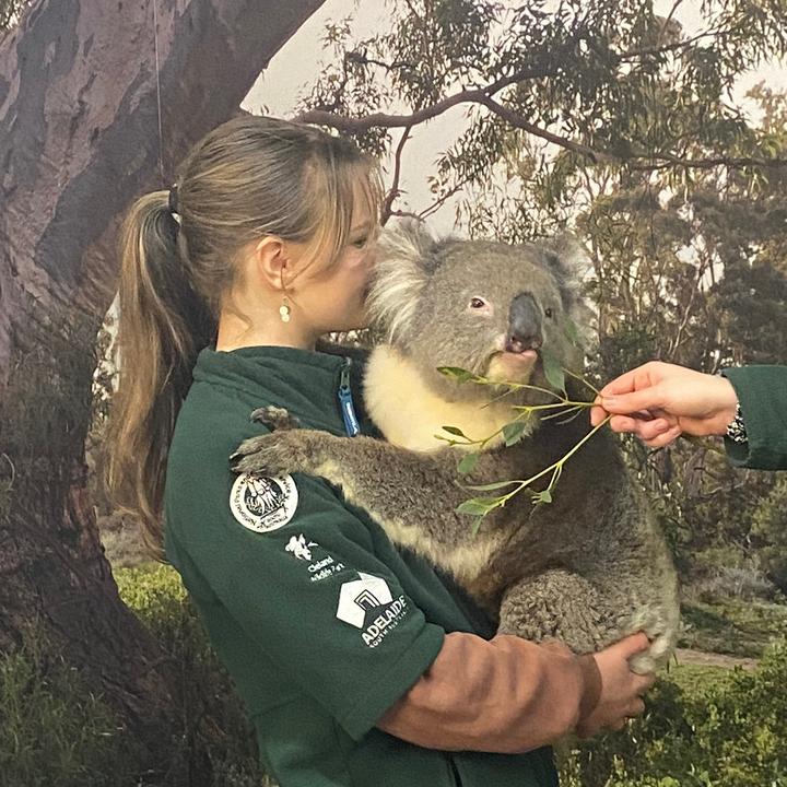 helena.australia