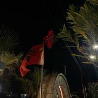 TikTok Account - albanianoutros