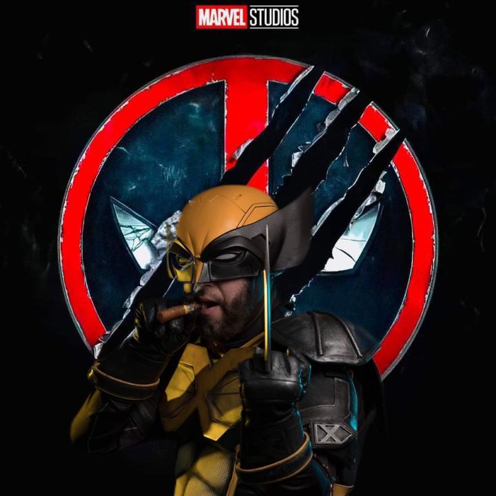 Wolversteve - suara asli