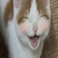 .m_e_a