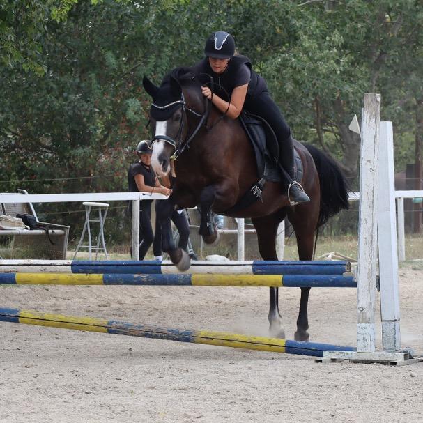 chiaras_horselife