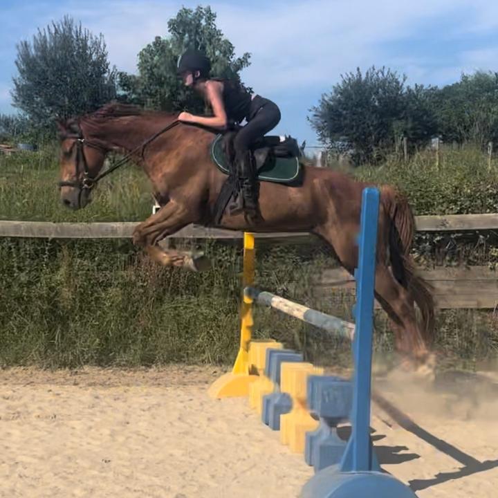 maia._equit